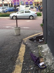 1342 Miriam konijn Kuala lumpur 21-6-15 