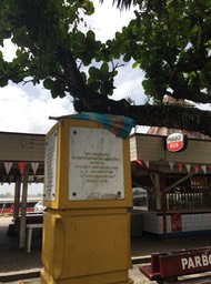 2008 Sandra spijker 27-2 Paramaribo 