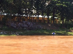 2298 Mirjam konijn. Moktawaddyrivier Myanmar. 2-11