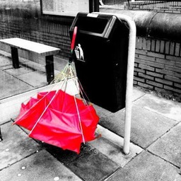 Amsterdam. Margo Jolliffe. November 7. 2012