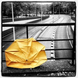 Amsterdam. October 12. 2012