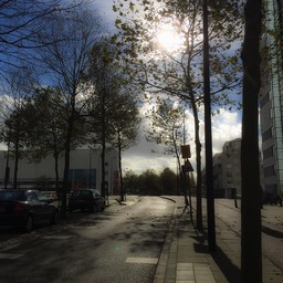 autumn Amsterdam