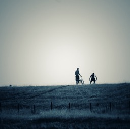 bikes