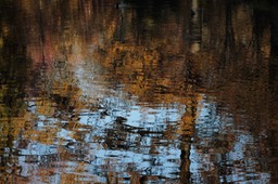 Donkere Herfstkleuren - Dark Autumn colours