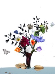 Enlight1 (1)