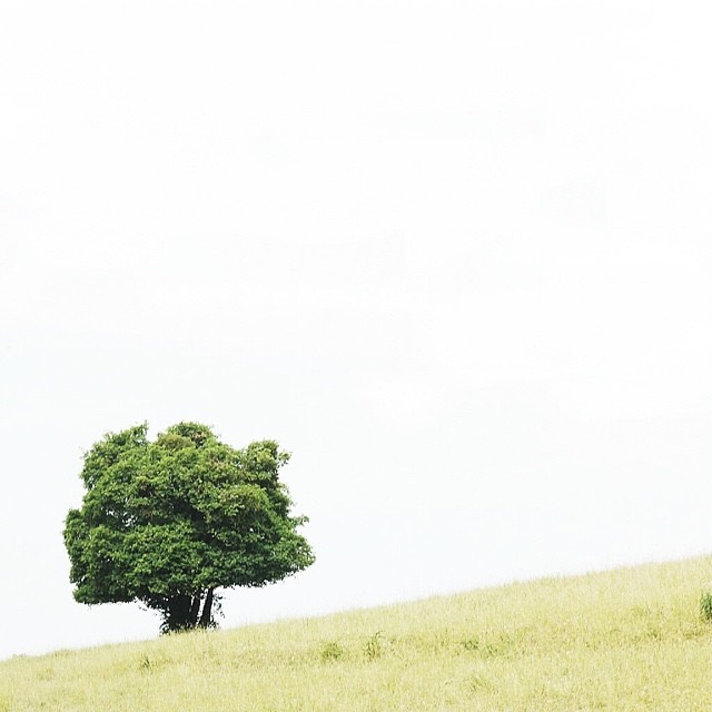 France 1