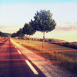 France 3
