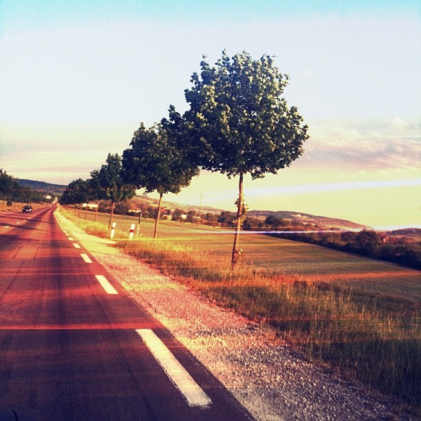 France 3