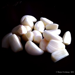 Garlic+