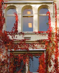 Herfst in Artis 2