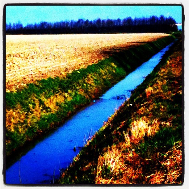 Holland 10