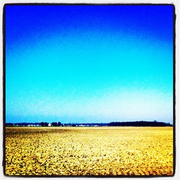 Holland 11