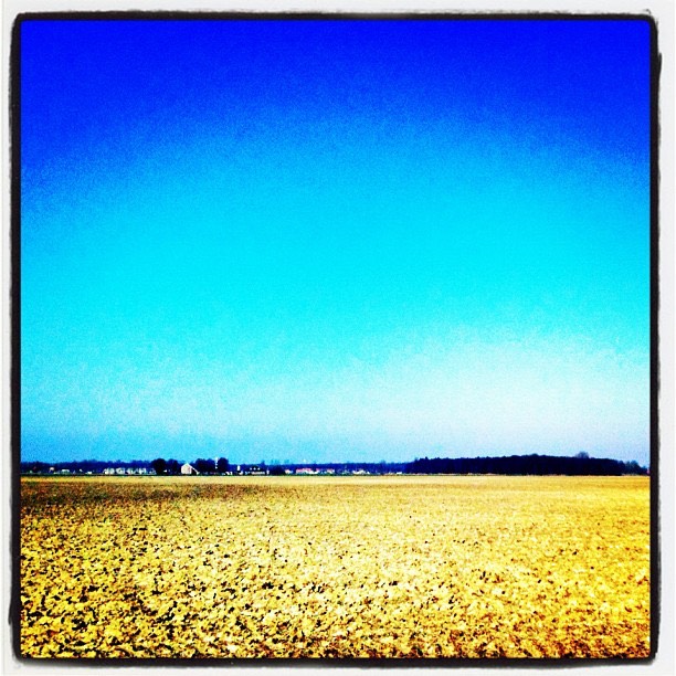 Holland 11