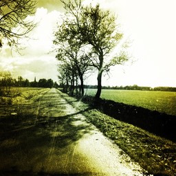 Holland 12