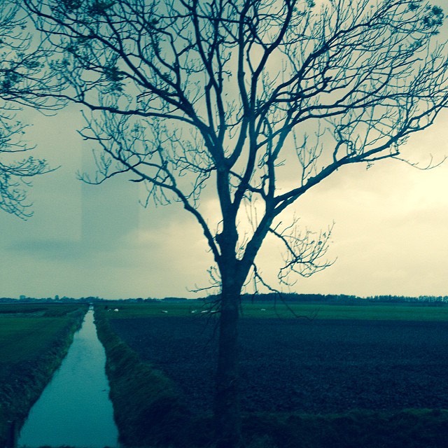 Holland 2