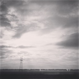 Holland 4