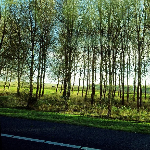 Holland 5