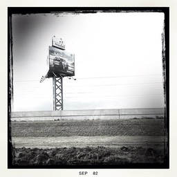 Holland 6
