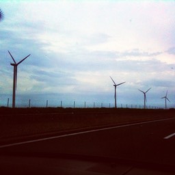 holland 7
