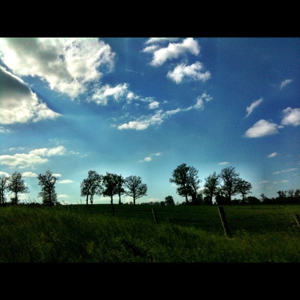 Holland 8