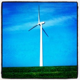 Holland 9