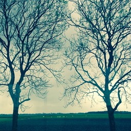 Holland