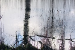 Ice