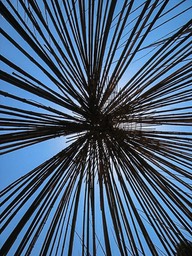 IMG_0166