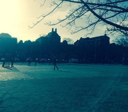 IMG_0795