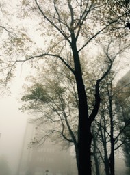 IMG_0803