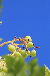 IMG_1619