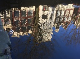 IMG_1659