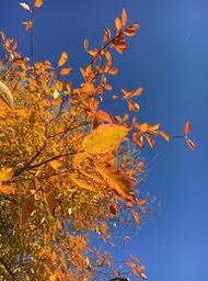 IMG_1803