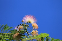 IMG_1844