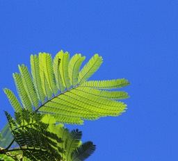 IMG_1845