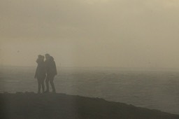 IMG_1929