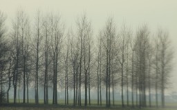 IMG_3097