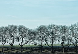 IMG_3693