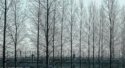 IMG_3702