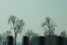 IMG_3707