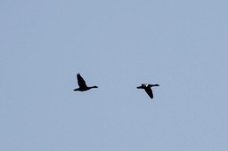 IMG_9397