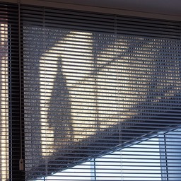 In the window