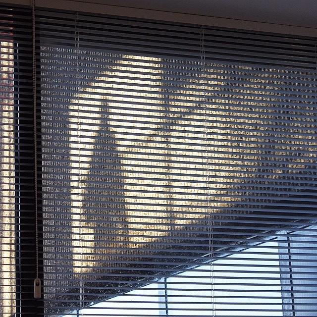 In the window