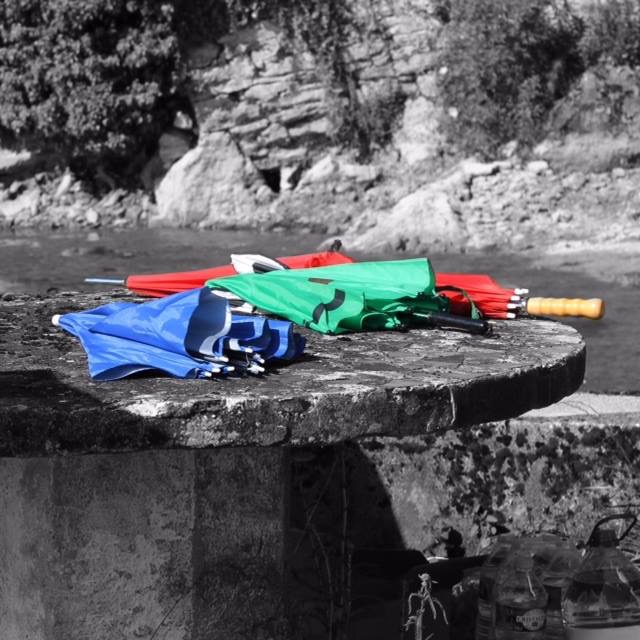 June 6. La Roche D'Hys - Domaine des Arts.Vitteaux. France