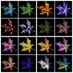 Diversity 2017 Leaves