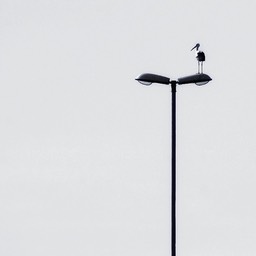 Looking out / op de snelweg