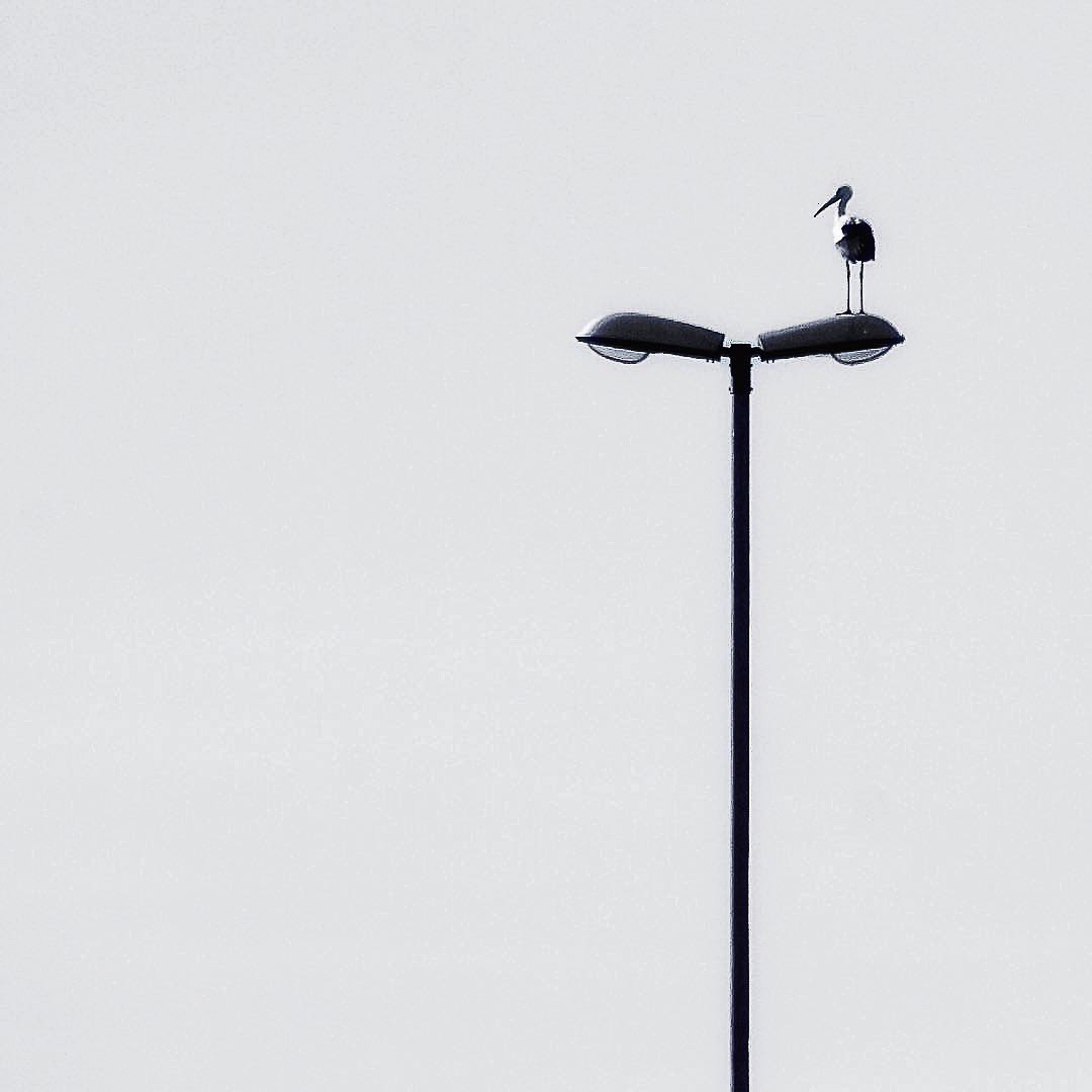 Looking out / op de snelweg