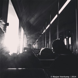 Love Tram