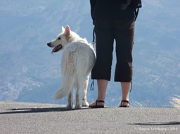 Mont Ventoux. France+