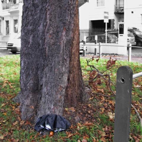 oktober 19, 2014.Ingrid WIjne Claphham.London